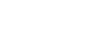 Logo VIN+